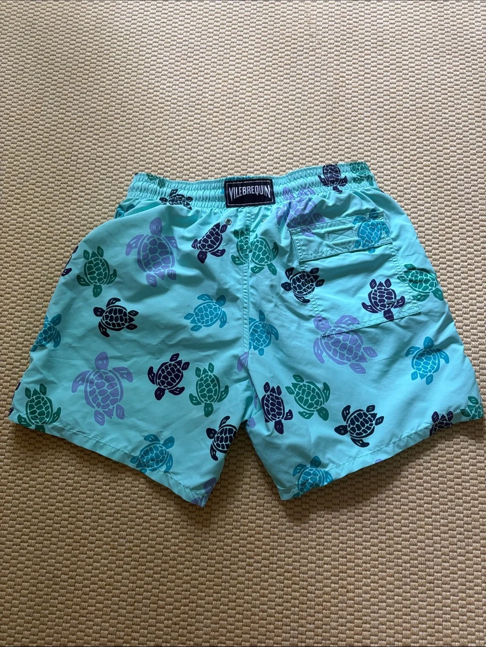 Vilebrequin Aqua Turtle Print Mens Swim Trunks